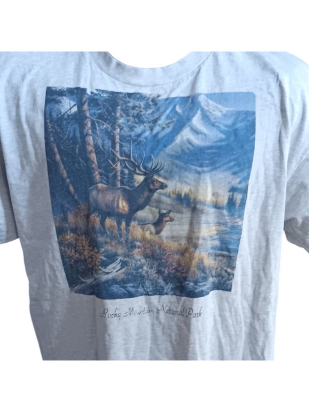 Rocky Mountain National Park Colorado Vintage T-shirt XL Y2K Elk Nature FTL